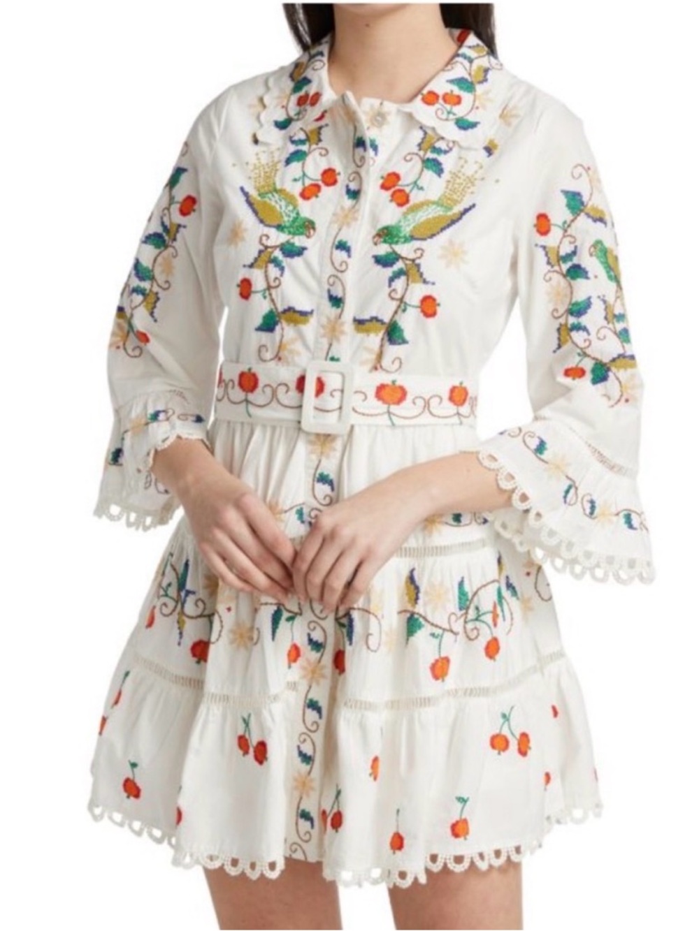 Farm Rio Pitanga Embroidery Mini Dress size XL